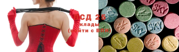 PSILOCYBIN Нефтегорск