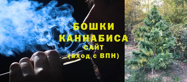 PSILOCYBIN Нефтегорск