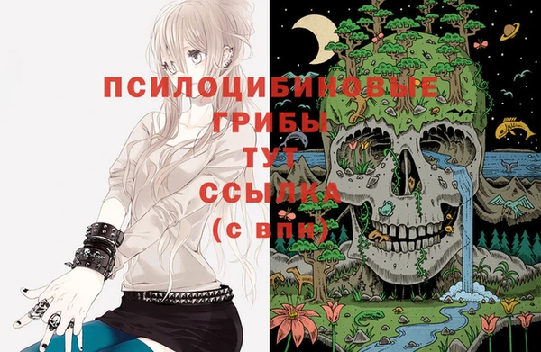 герыч Новодвинск
