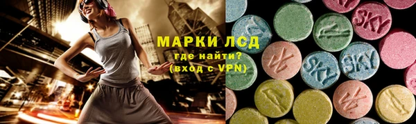 СК Новокубанск