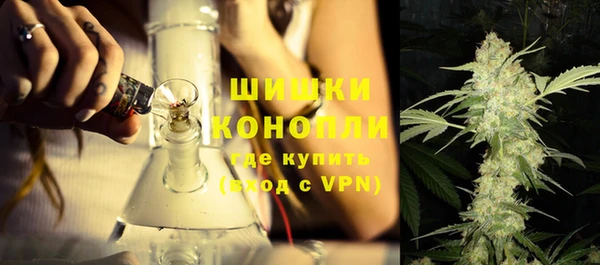 каннабис Новозыбков