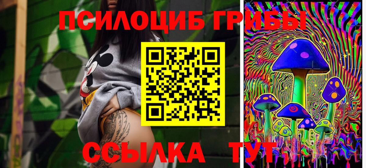 Лиски  Галлюциногенные грибы мицелий  Галлюциногенные грибы прущие грибы  Вход с VPN 