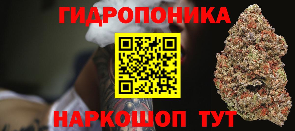 Марихуана индика  МАРИХУАНА Bruce Banner  Вход с VPN  Бошки Шишки Bruce Banner  Каннабис планчик  Лиски 